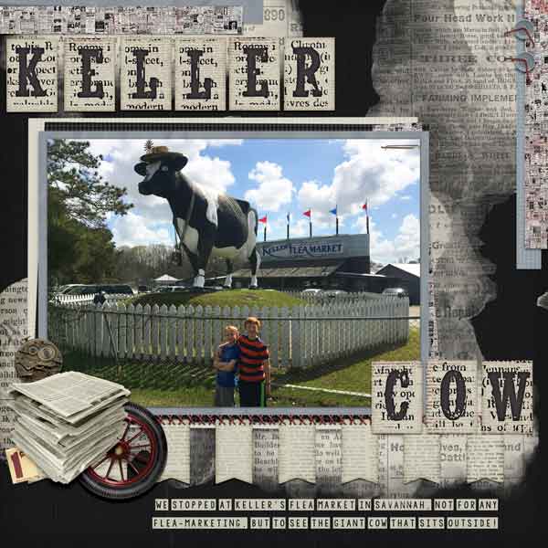 2018 02 Keller Cow