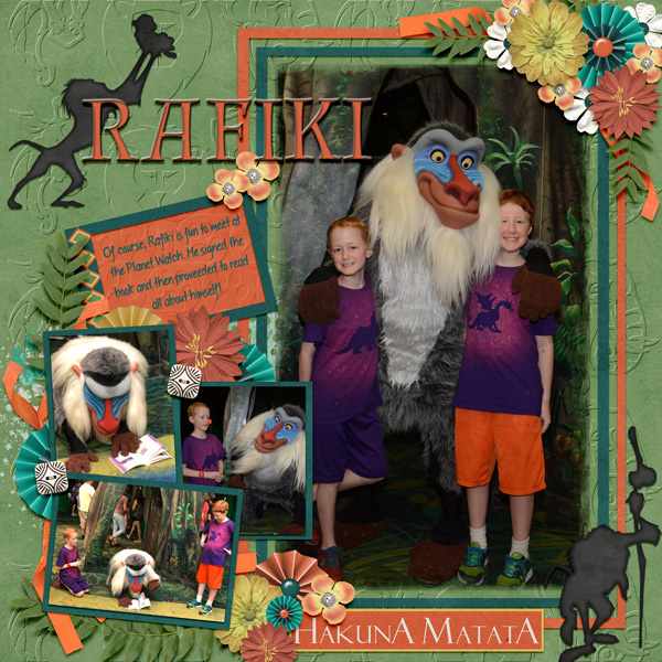 2018 02 Rafiki