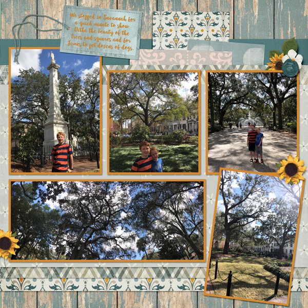 2018 02 Savannah