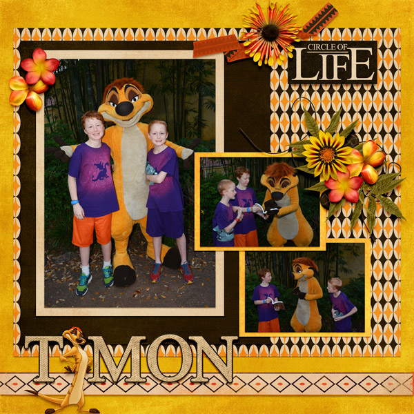 2018 02 Timon