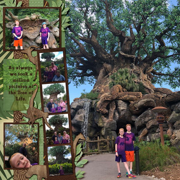 2018 02 Tree of Life