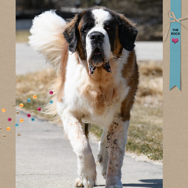 2018-04-Rocky
