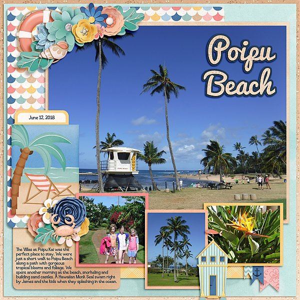 2018-06-12 Poipu Beach 1