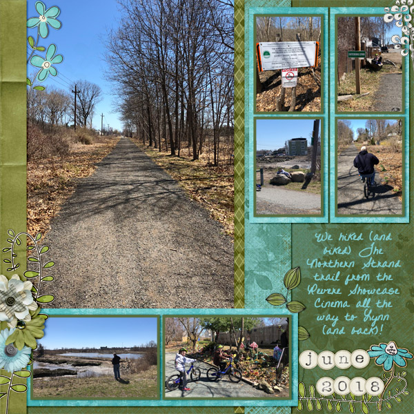 2018 06 Northern Strand