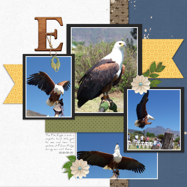 2018-09-30_FishEagle