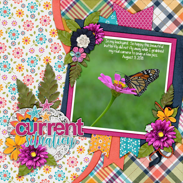 2018 butterfly