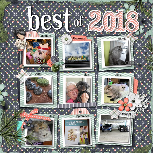 2018  my year in review