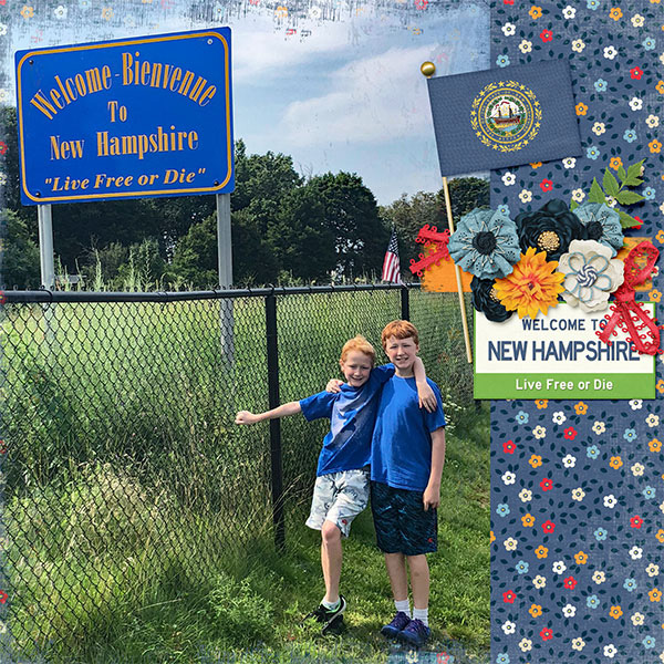 2018 New Hampshire