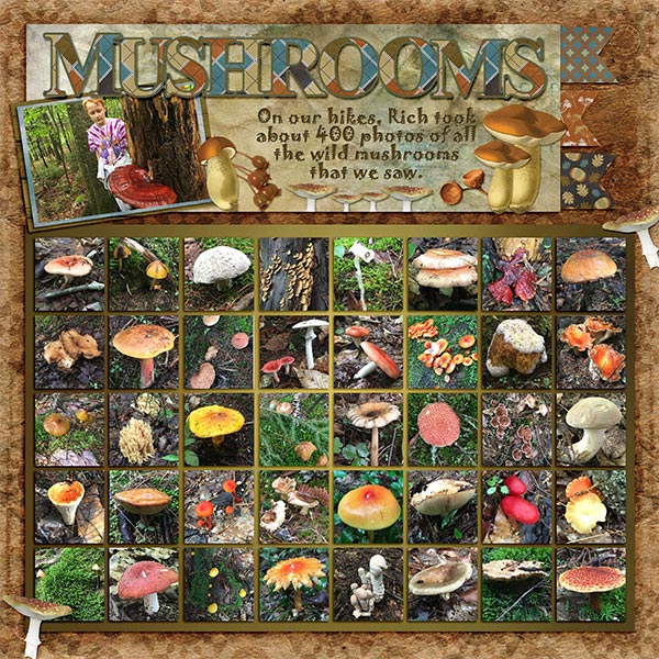 2018 NH Mushrooms