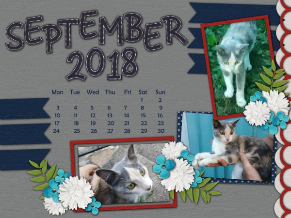 2018 September Desktop