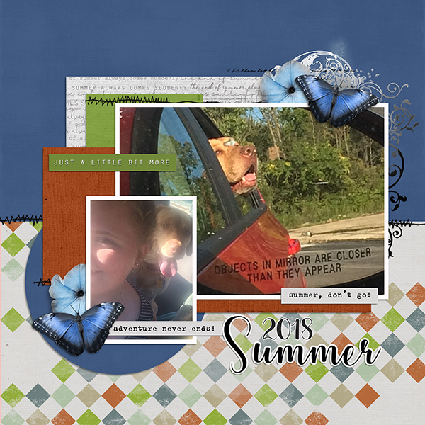 2018 Summet