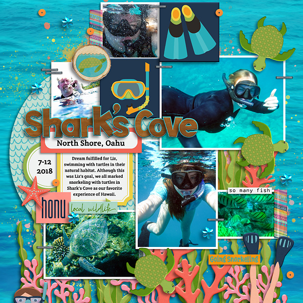 20180712 Snorkeling with Turtles in Hawaii