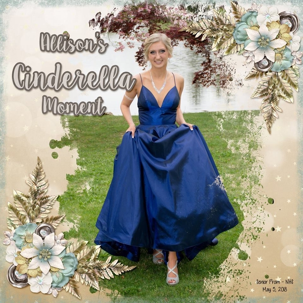2018_may_5_allison_cinderella_flergs_rtm_white_christmas