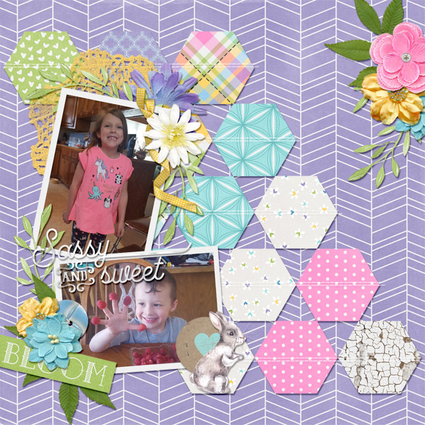 2019-04-20 Sassy+Sweet EverydayHex2_02