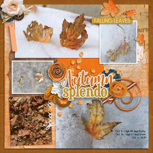 2019-10-Color Challenge
