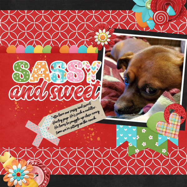 2019-11-06 sweet+sassy