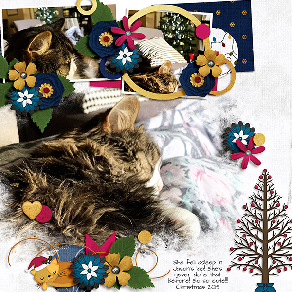 2019-12-25Sleepyweb