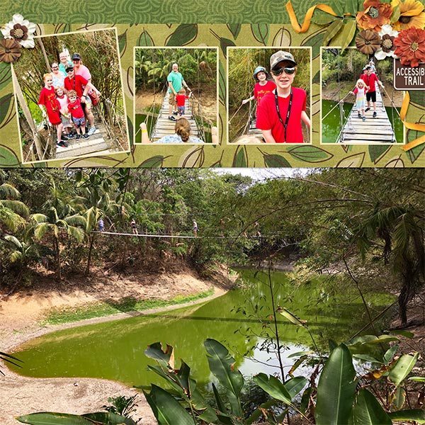 2019 Cruise Bridge