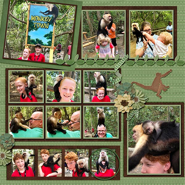 2019 Cruise Monkeys