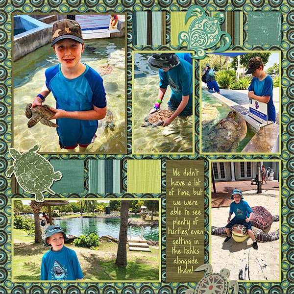 2019 Cruise Turtles