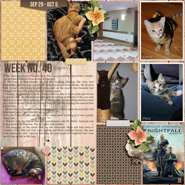 2019 Day2Day Week 40