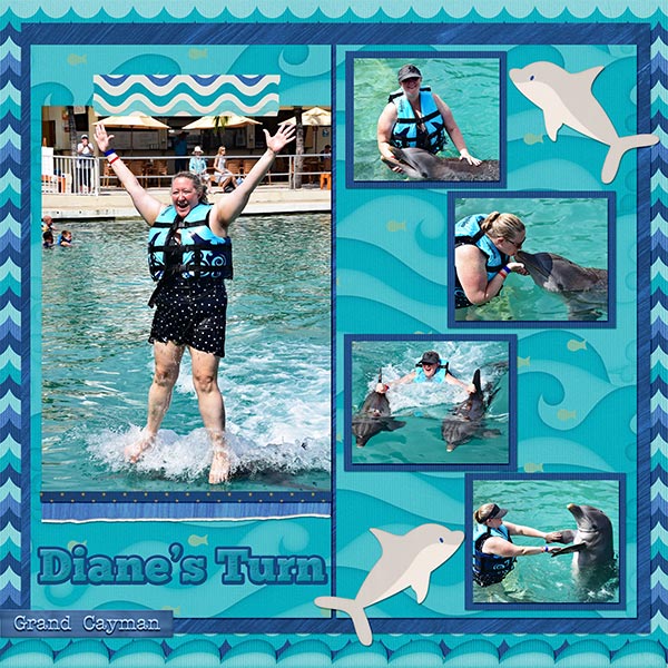 2019 Diane Dolphins