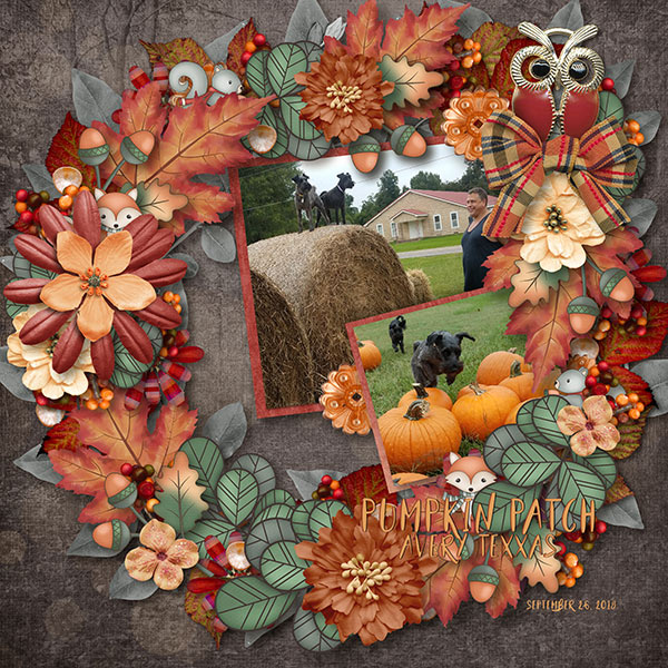 2019 DSD Special by LouCee Creations