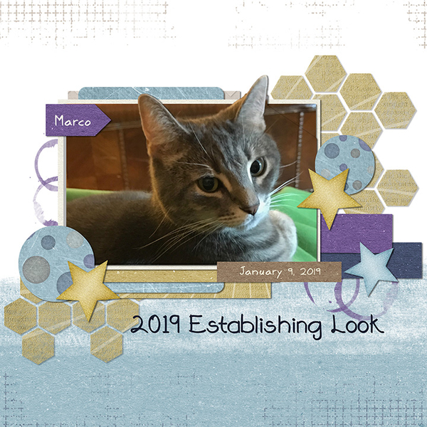 2019 Establishing Look