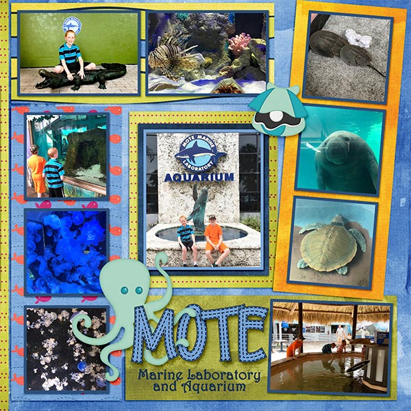 2019 Mote Aquarium
