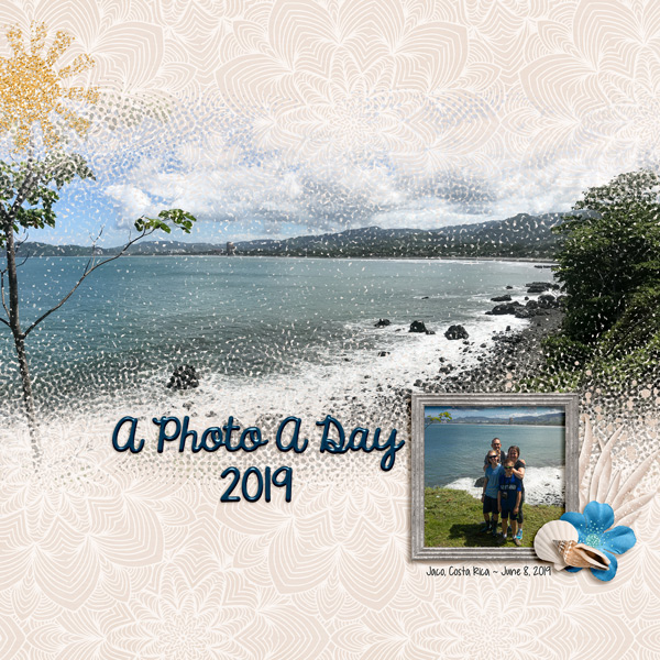 2019 Photo of the day book covers