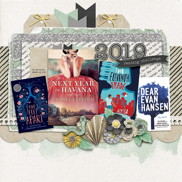 ~2019 Reading Challenge~