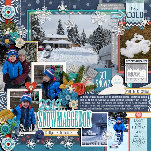 2019 Snowpocalypse