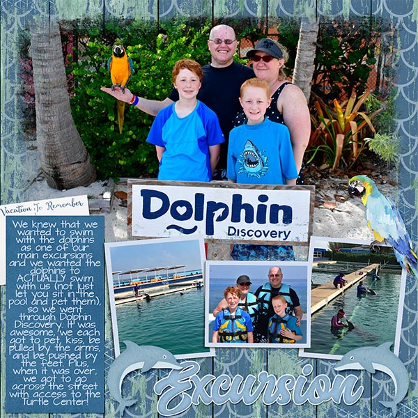 2019 Swim with dolphins
