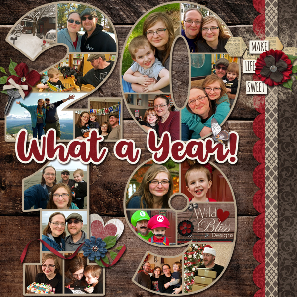 2019 What a Year!