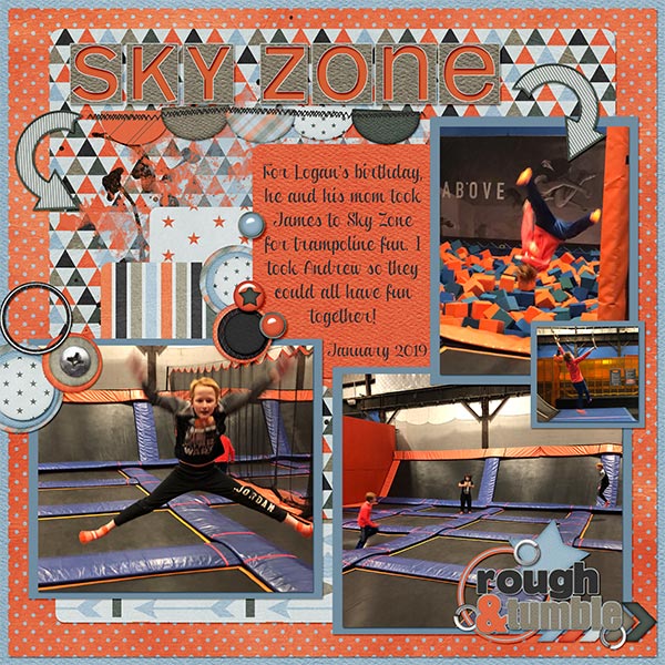 2019_01_Sky_Zoneweb