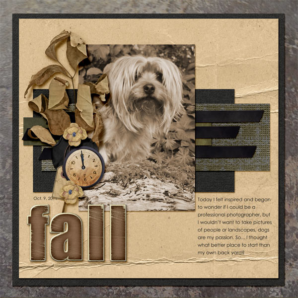 202-10-11-FallByCFALBRO
