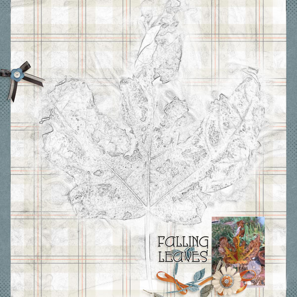 2020-10 DSD White Space
