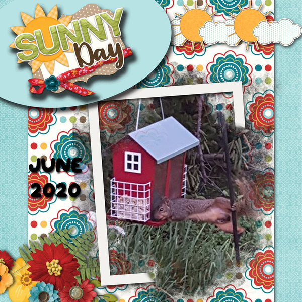 2020-August-Connie-Prince-rs