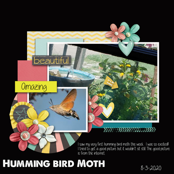 2020-August-Designer-Spotlight-Design-rs