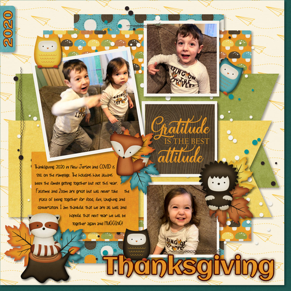 2020 COVID Thanksgiving