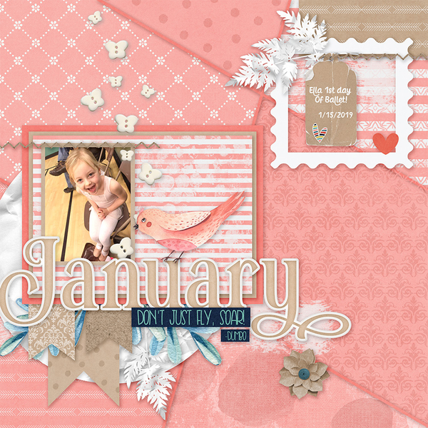 2020 January Bundle by Designs by Connie Prince