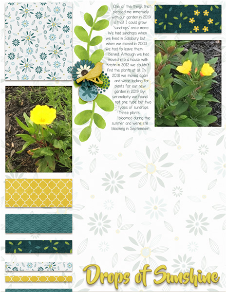 2020 March Challenge - Drops of Sunshine