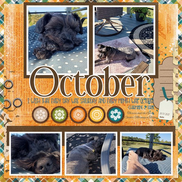 2020 October Bundle kit By Designs by Connie Prince