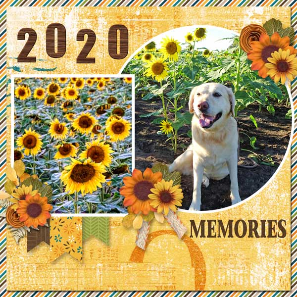 2020 October