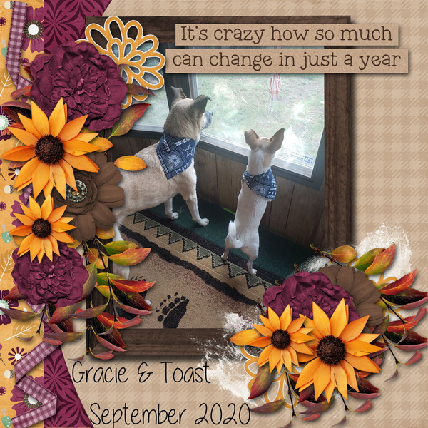 2020-September-Connie-Prince-rs