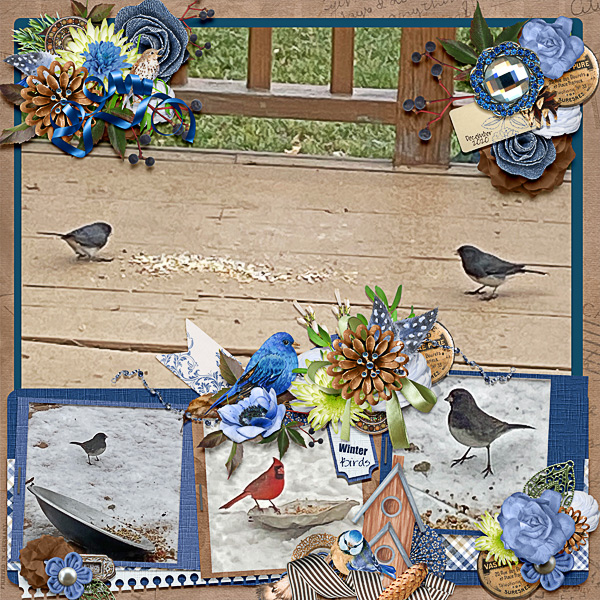 2020 Winter Birds