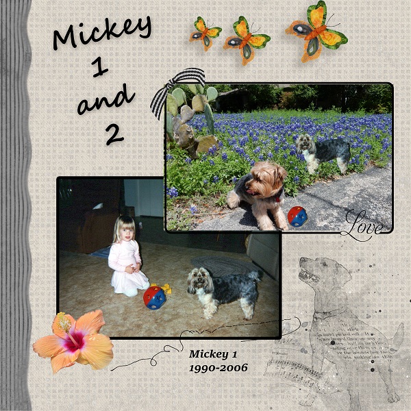 2020_Survivor_Ginger_Scraps_MIckey_week_3_600