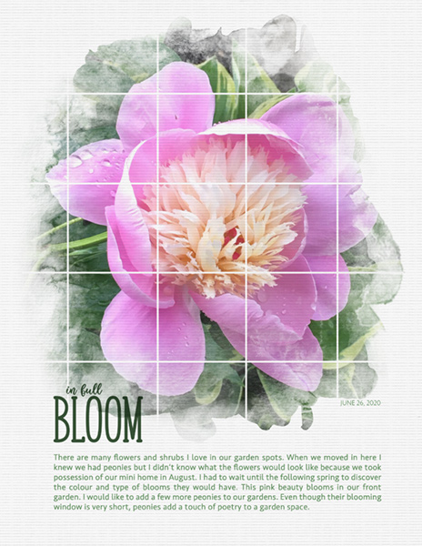 2021-03 In Full Bloom