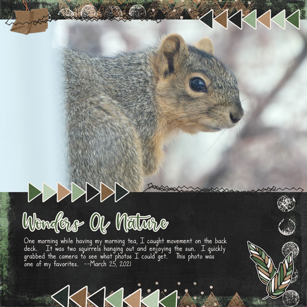 2021-04 Template Challenge