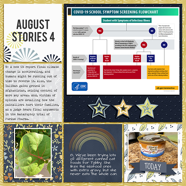 2021 August Stories 4